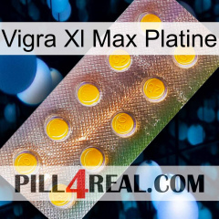 Vigra Xl Max Platinum new11